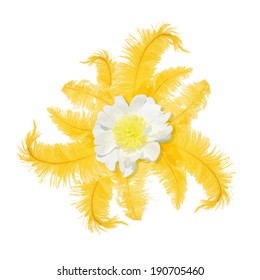 abstraction with feathers and a flower. Vector 