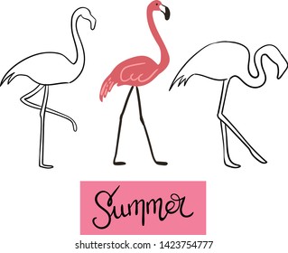 Abstraction flamingo. Vector illustration.  Summer pink. Animal.