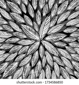 Abstraction of monochrome leaves. Background black and white from the leaves. Vector illustration