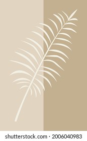 An abstraction from a palm leaf located on a two-color background.