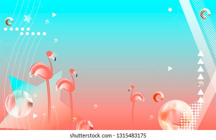 Abstraction pink living coral flamingos family exotic wading birds flock flamboyance beaks, necks, feather, body standing posture Zoo bird