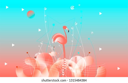 Abstraction pink living coral flamingos family exotic wading birds flock flamboyance beaks, necks, feather, body standing