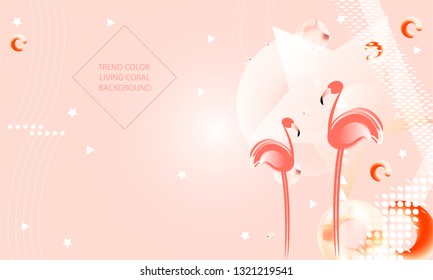 Abstraction pink living coral flamingos family exotic wading birds flock flamboyance beaks, necks, feather, body standing posture Zoo bird