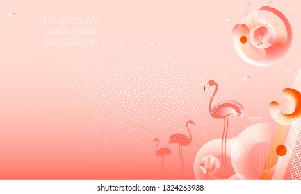 Abstraction pink living coral flamingos family exotic wading birds flock flamboyance beaks, necks, feather, body standing posture Zoo bird park