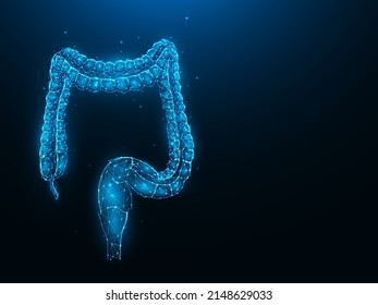 Abstracción ilustración vectorial poligonal del colon o del intestino grueso sobre un fondo azul oscuro. Sistema digestivo, diseño interno de baja polilla de órganos. Banner médico, plantilla o fondo.