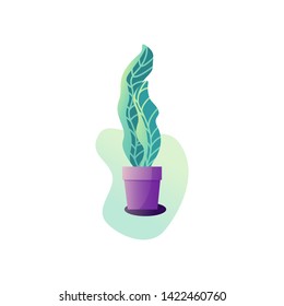Abstraction potted plant. Vector illustration of the leaves of a houseplant. Gardening illustration in modern simple flat art style. Flower isolated on white background