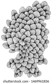 Abstraction reminiscent of densely folded shells