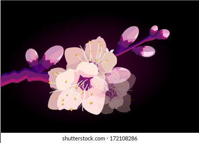 Abstraction with sakura on a dark background. Vector