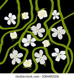 Abstraction from white flowers on a black background and green stripes.