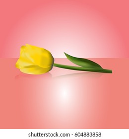 Abstractly Tulip. Flowers. Vector illustration of flowers.