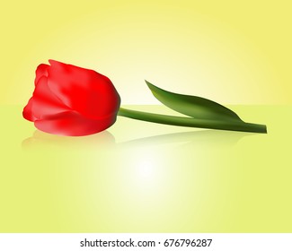 Abstractly Tulip. Flowers. Vector illustration of flowers.