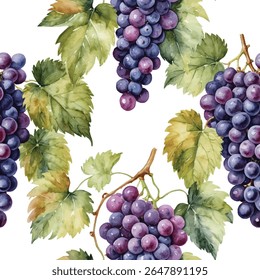  Abundant seamless pattern with hand-painted watercolor clusters of purple grapes and detailed vine leaves on a white background. Perfect for wine or harvest designs.