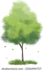the Abundant trees, beautiful greenery