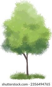 the Abundant trees, beautiful greenery