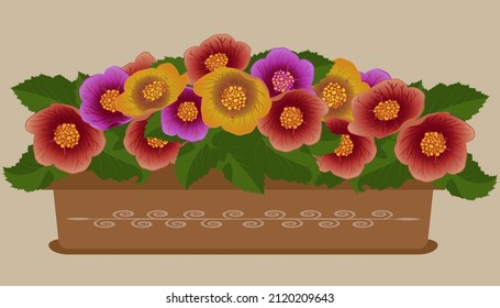  Flores de abulón en una ilustración vectorial de la caja de flores.