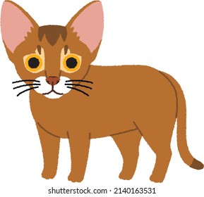 Abyssinian is a breed of domestic short-haired cat with a distinctive "ticked" tabby coat, in which individual hairs are banded with different colors.