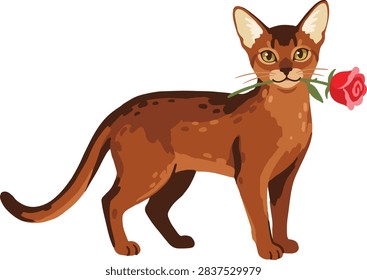 Abyssinian Cat Biting Rose Illustration