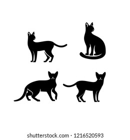 Abyssinian cat black logo icon designs vector illustration