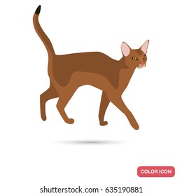 Abyssinian cat breed color flat icon for web and mobile design