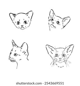 Abyssinian, cat breeds illustration with inscription, hand drawn doodle, sketch