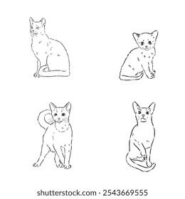 Abyssinian, cat breeds illustration with inscription, hand drawn doodle, sketch