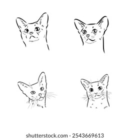 Abisinio, ilustración de razas de gatos con inscripción, dibujado a mano doodle, boceto