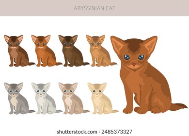 Abyssinian cat clipart. All coat colors set.  All cat breeds characteristics infographic. Vector illustration