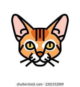 abyssinian cat cute pet color icon vector. abyssinian cat cute pet sign. isolated symbol illustration