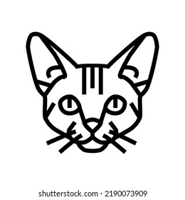 Abyssinian Katze süße Tier Linie Symbol Vektorgrafik. Abessiner Katze süßes Haustier Schild. isoliertes Kontursymbol