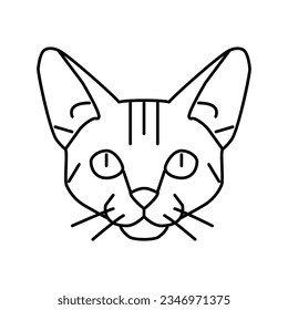 abyssinian cat cute pet line icon vector. abyssinian cat cute pet sign. isolated contour symbol black illustration