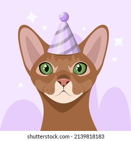 Abyssinian cat in a festive cap. Postcard. Cartoon design.
