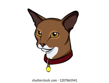 Abyssinian cat head avatar