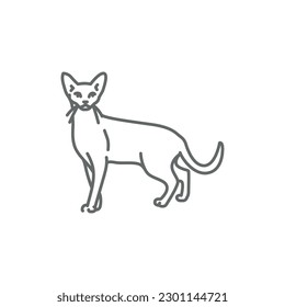 Abyssinian cat line icon. Farm animals. Pictogram for web page, mobile app, promo.