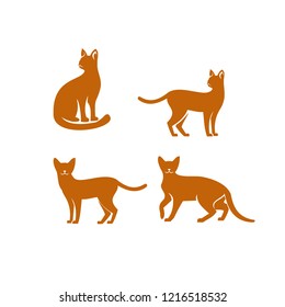 Abyssinian cat logo icon designs vector illustration