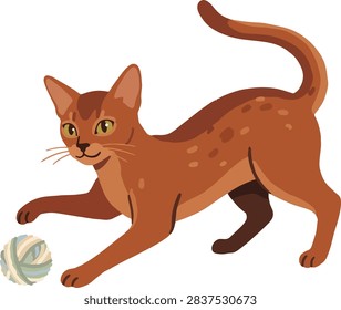 Abyssinian Cat Playing with Yarn Ball