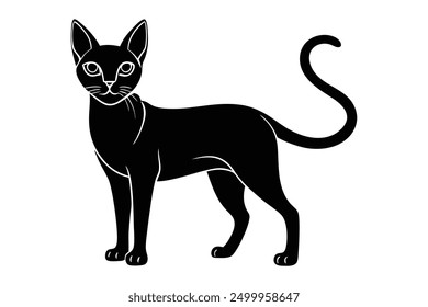 Diseño gráfico de silueta de gato abisinio