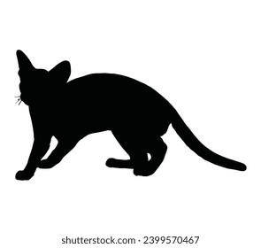 Ilustración del vector de silueta de gato abisino.