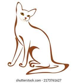 retrato estilizado de gato abisino, ilustración vectorial de raza de mascotas