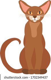 Abyssinian cat. Cat vector. Cartoon cute cat