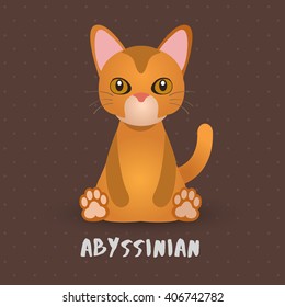 Abyssinian Cat : Vector Illustration