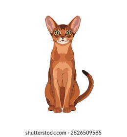 Abyssinian Cat Vector Illustration, Beautiful Purebred Ruddy Feline Sitting Isolated on White Background