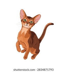 Abyssinian Cat Vector Illustration Isolated on White Background