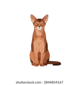 Abyssinian Cat Vector Illustration Isolated on White Background, Elegant Ruddy Feline Portrait