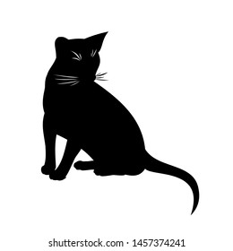 Abyssinian cat vector isolated illustration. black and white silhouette of sitting abyssinian female cat on white background. Pretty cute vector kitty with big ears for logo, poster.