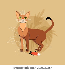 Abyssinian cat vector with toy fish on beige background. Flat animal pet character illustration