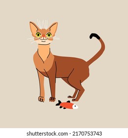 Abyssinian cat vector with toy fish on beige background. Flat animal pet character illustration