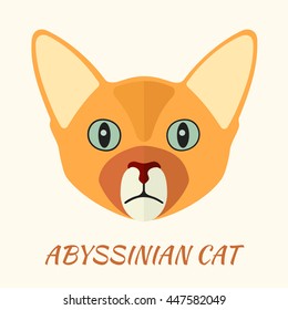 Abyssinian purebred cat portrait vector illustration in flat style.