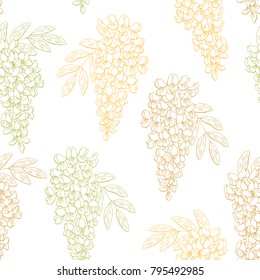 Acacia flower color graphic seamless pattern sketch illustration vector 