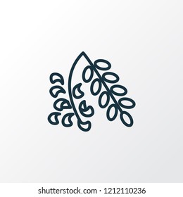 Acacia flower icon line symbol. Premium quality isolated hyacinth element in trendy style.