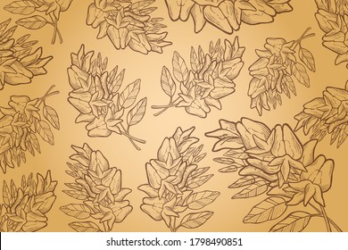 Acacia flowers on a Gold background Vector illustration - Hand drawn.eps